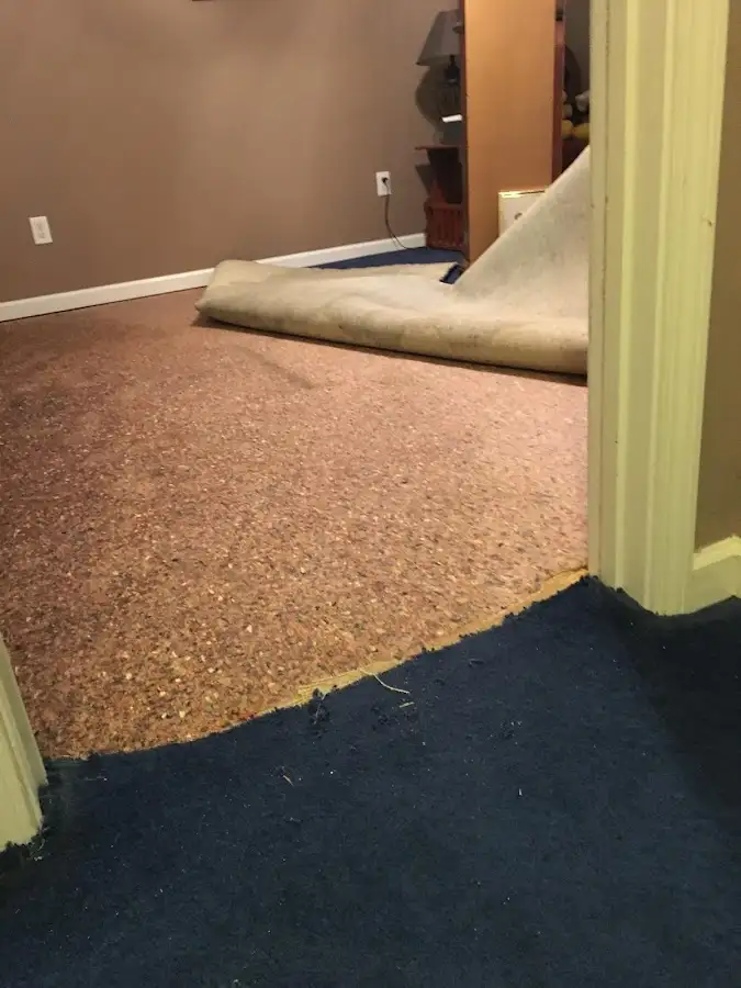 Carpet pad removal revealing water damage during Water Mitigation Services in Madeira