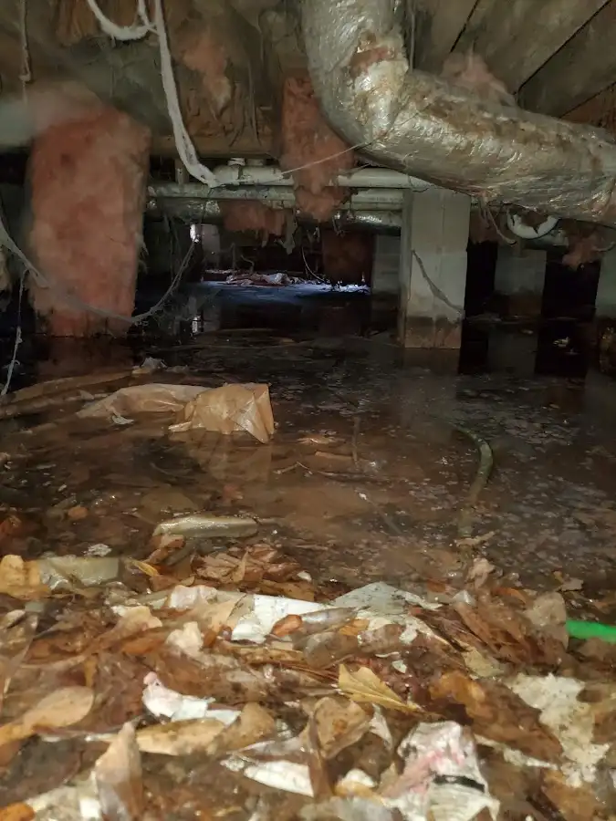 Crawl space flood assessment for Commercial Water Damage Restoration in Madeira