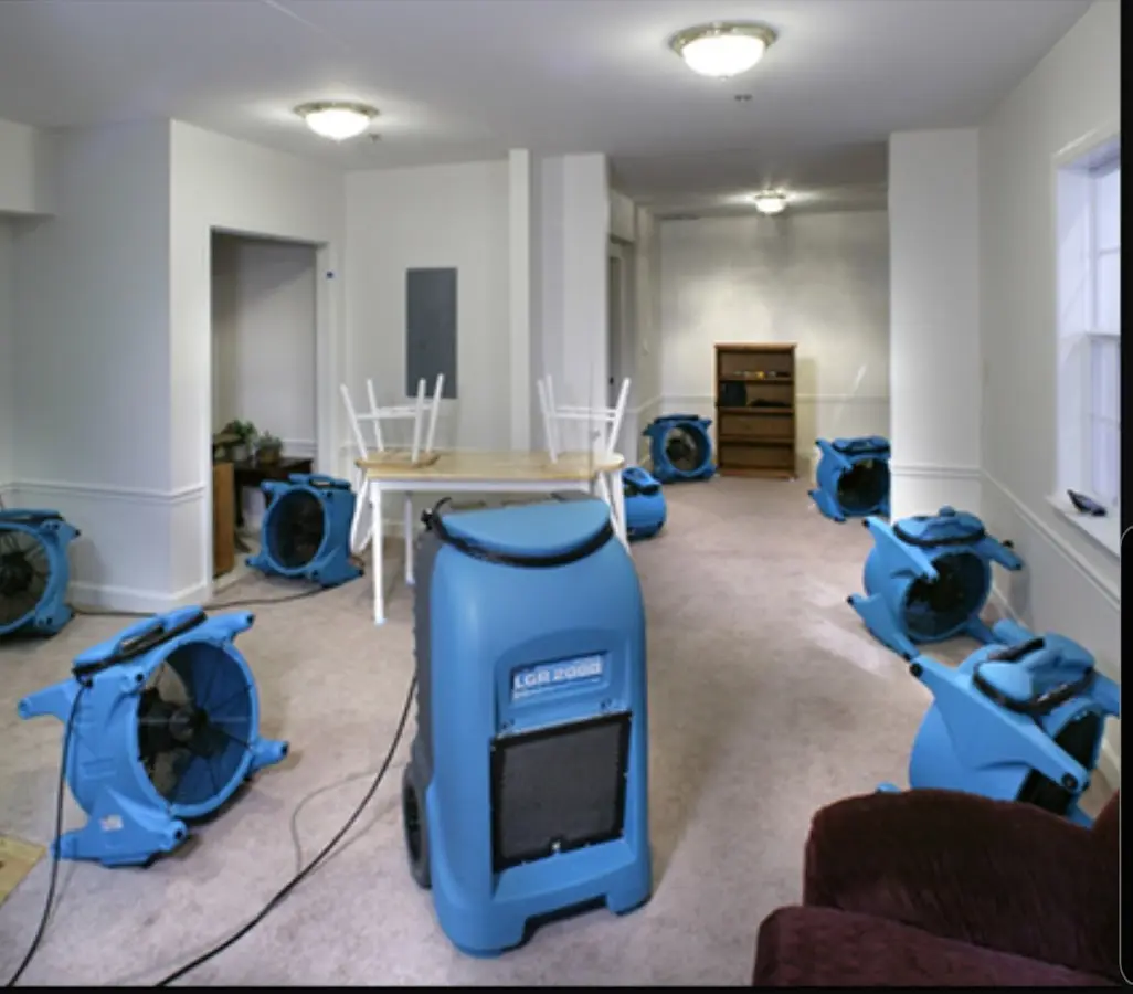 Air movers and dehumidifier setup for Water Extraction & Removal in Madeira