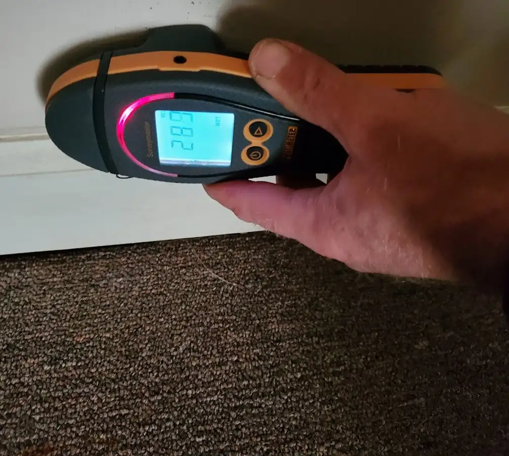 Moisture detection at baseboard during Mold Inspection & Testing in Madeira
